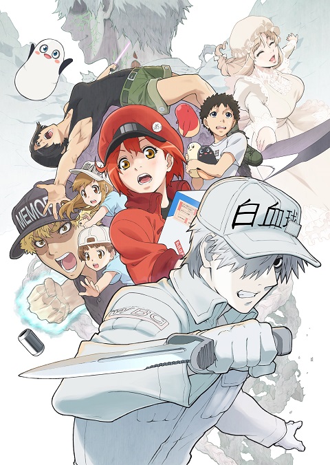 Hataraku-Saibou-2-เซลล์ขยัน-พันธุ์เดือด-ภาค-2