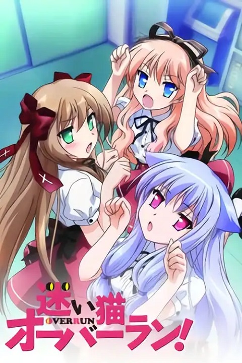 Mayoi-Neko-Overrun-แมวหลงเกินพิกัด