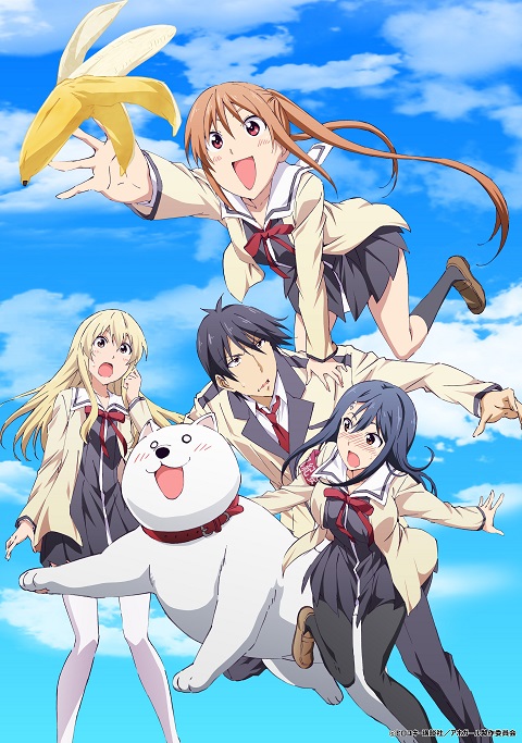 aho-girl