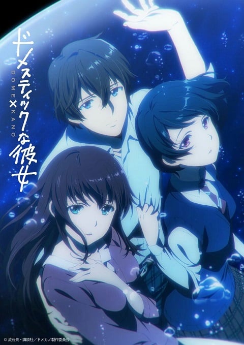 domestic-na-kanojo-บทเรียนรักเส้นทางหัวใจ