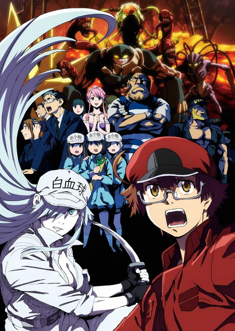 hataraku-saibou-black