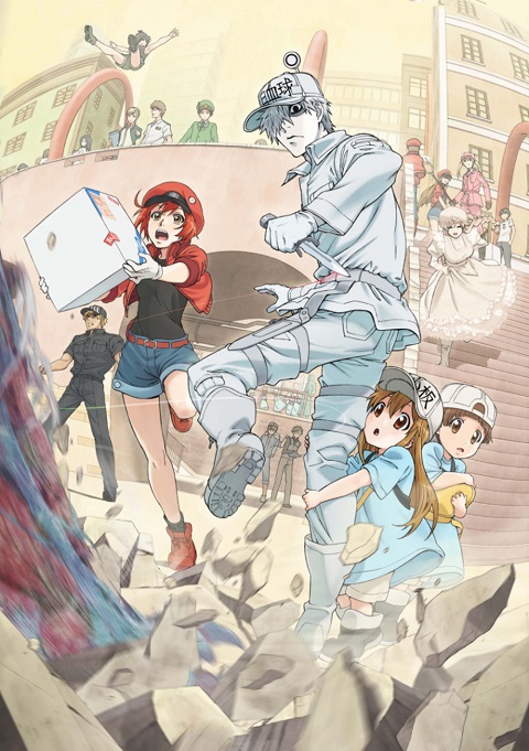 hataraku-saibou