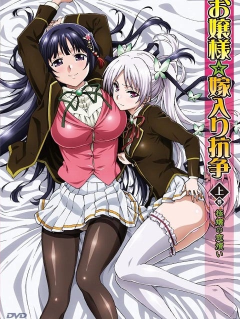 ojousama-yomeiri-kousou