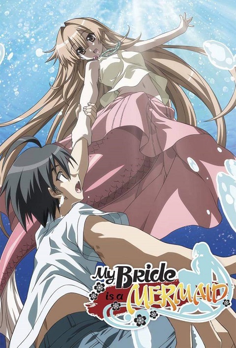 seto-no-hanayome-เงือกสาวยากูซ่า