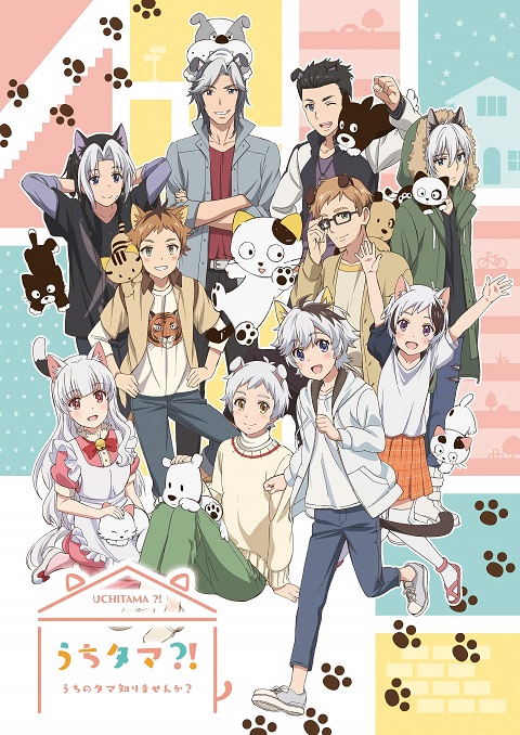 uchi-tama-uchi-no-tama-shirimasen-ka-ทามะและผองเพื่อน
