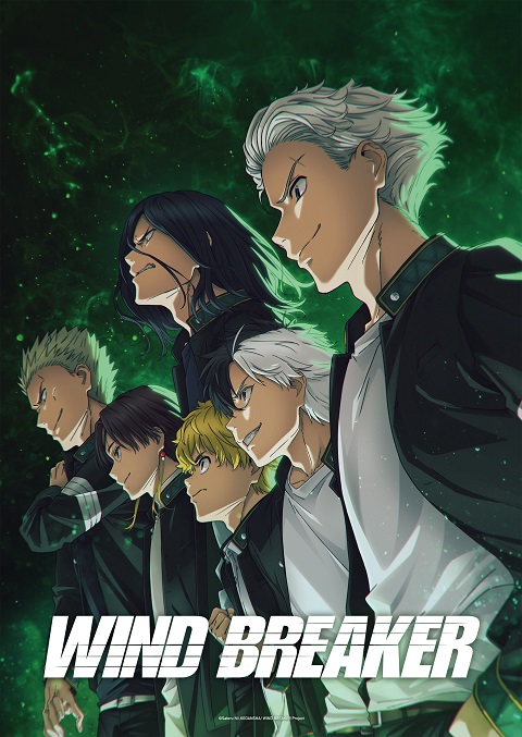 wind-breaker